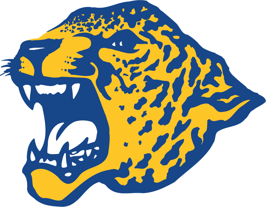Southern Jaguars 1993-2001 Primary Logo diy iron on heat transfer